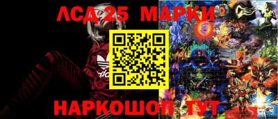 ECSTASY Гатчина