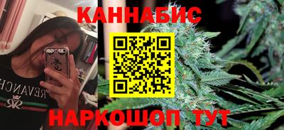бошки Гагарин