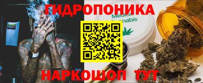 ECSTASY Гатчина