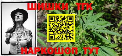 бошки Гагарин