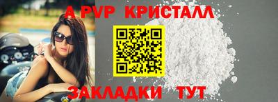 ECSTASY Гатчина