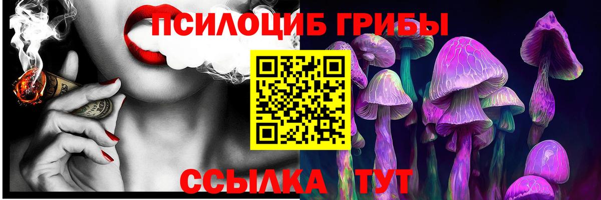 Дзержинский  Галлюциногенные грибы мухоморы  Вход с VPN 